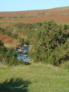 Dartmoor river