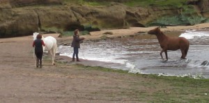 Horses being lunged on beach